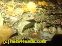 /home//u458753944/public_html/sourcegallery////McKaig Nature Center/2024-09-23/P9231602.JPG
